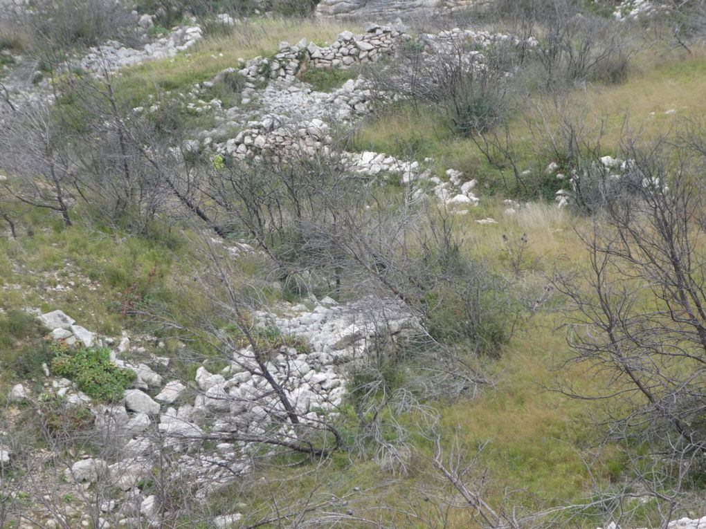 Rando du 4/03/2019 Carrieres de Baou Talla