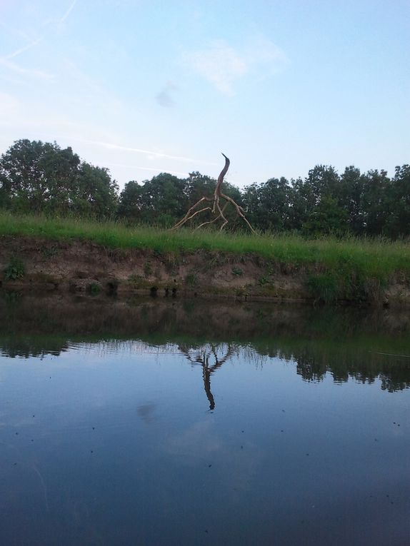 Album - Marais-Poitevin