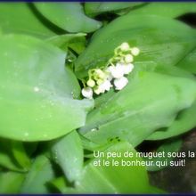 Un peu de bonheur....