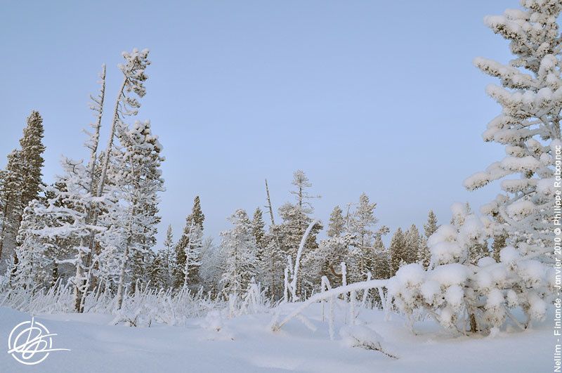 Petite balade au pays de l'hiver. Nellim (Finlande) début janvier 2010