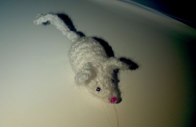 Amigurumi 