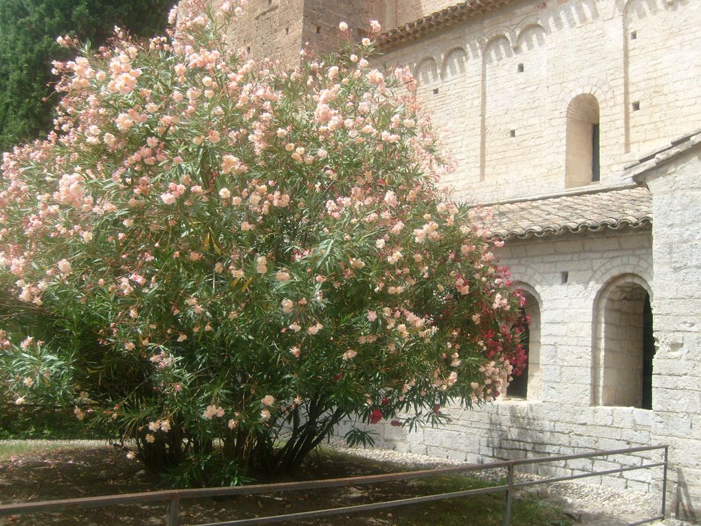 Album - Saint-Guillem-le-Desert