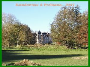 Randonnée dans les Bois de Moléans. Eure et Loir  2017.