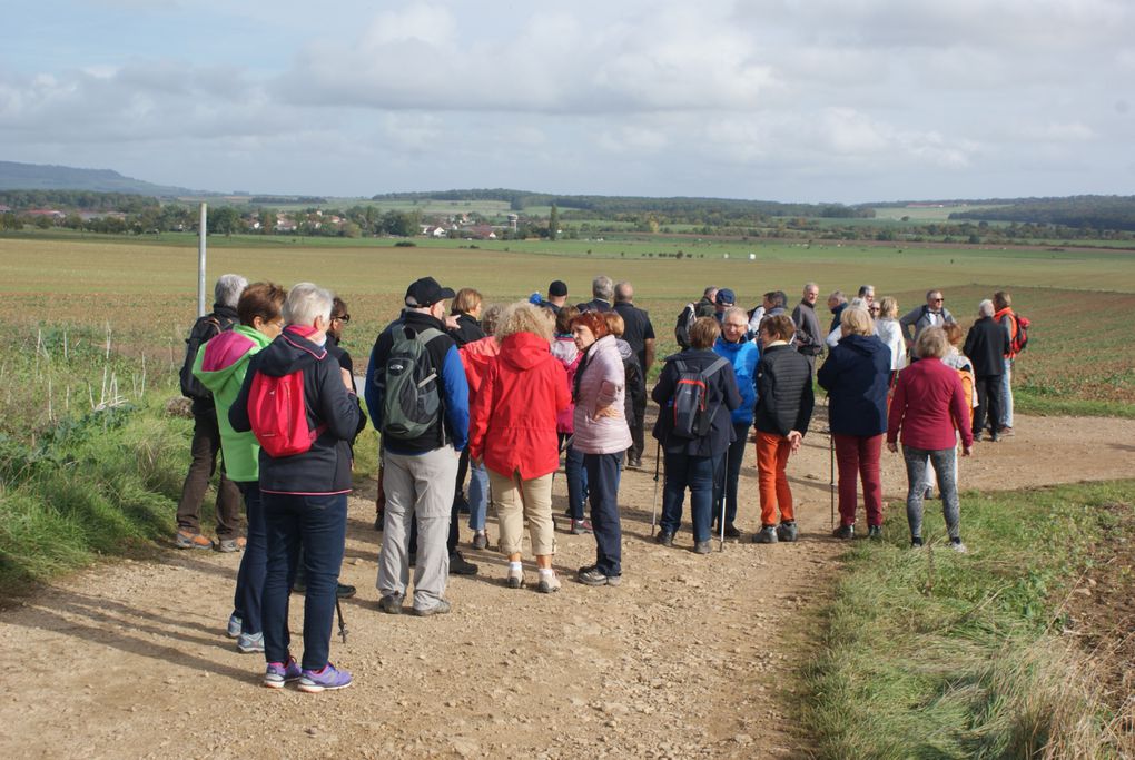 Marche circuit Xaintois du 6 Octobre 2022