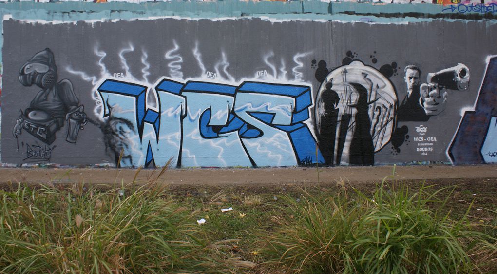 Album - Graffitis-IVRY-sur-Seine-Tom-012