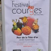 Lyon Festival des courges : 1 - le blog docroger