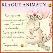 Blague sur le thème animaux