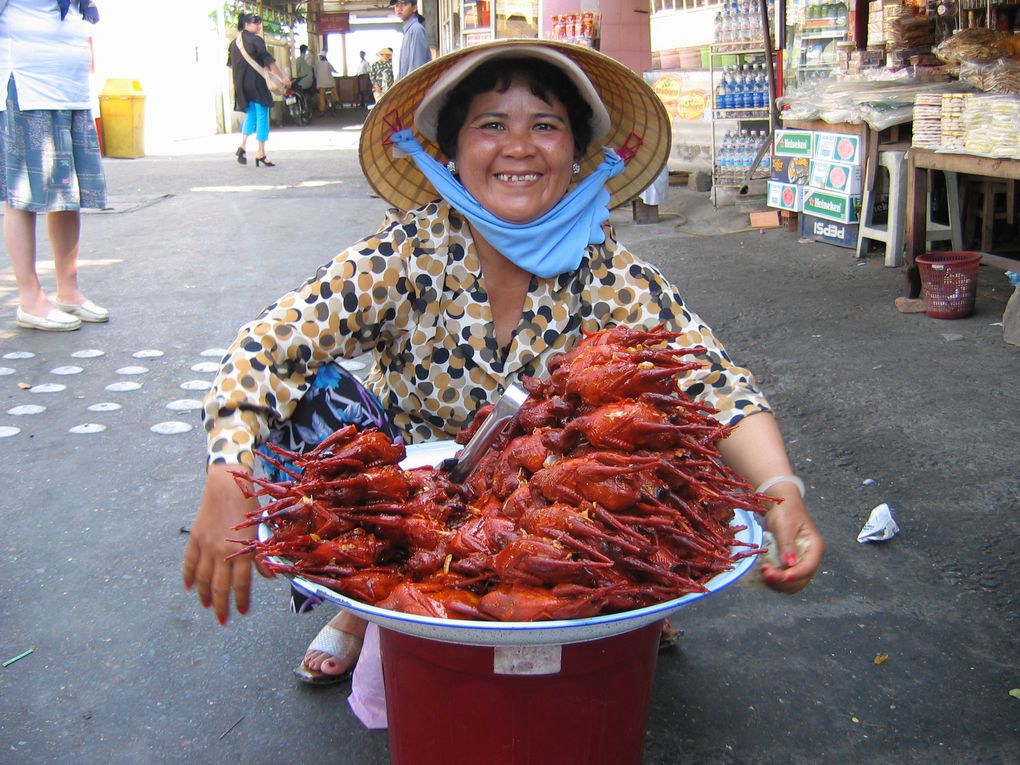 le viet nam est un pays très diversifié de part sa forme allongé et surtout côtier et nous pouvons toujours sentir une différence entre le nord et le sud