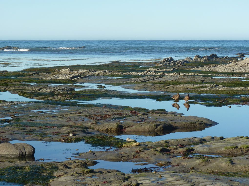 Album - Kaikoura