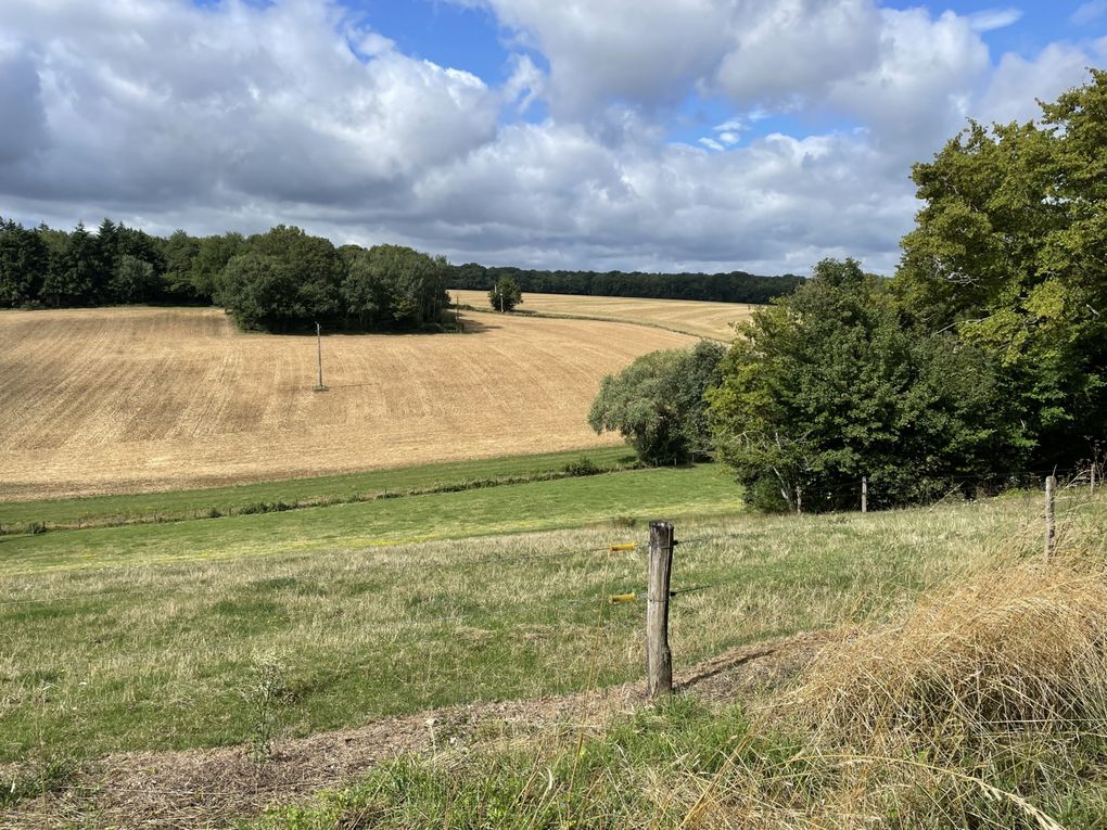 de Vézelay à La Charité sur Loire - @Pierre 