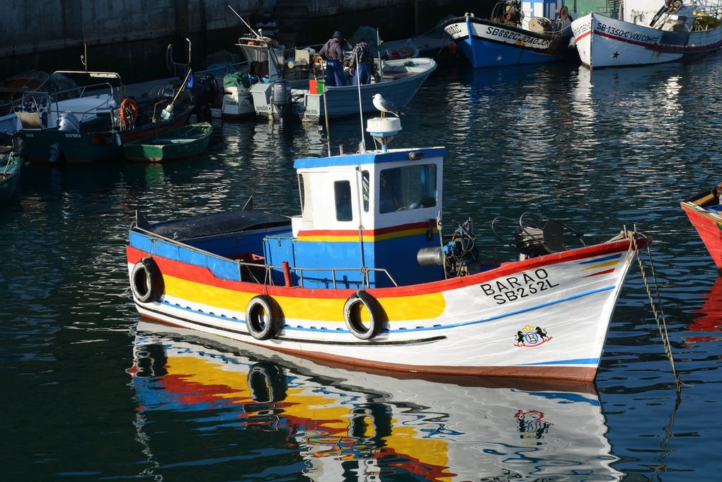 Le calendrier de l'Avent de CasaMar J6 - Bateaux et pêche à Sesimbra