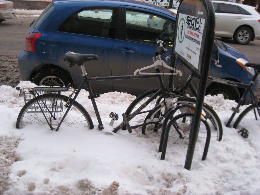 suite et fin de notre séjour hivernal à Montréal (dans l'ordre alphabétique toujours)