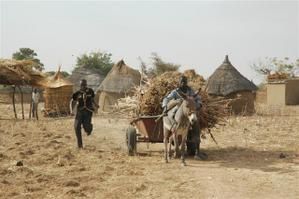 Album - BURKINA-FASO-couleur4