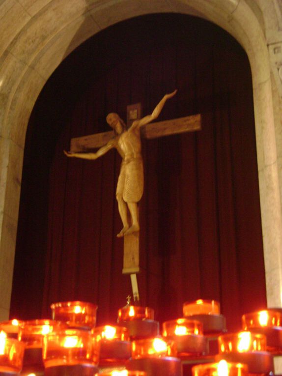 Buissonnets - Cathédrale St Pierre - Carmel - Basilique - ...