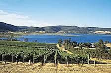 #White Sparkling Wine Producers Tasmania Island Vineyards Australia page 2