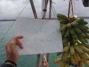 banane from Acuadup