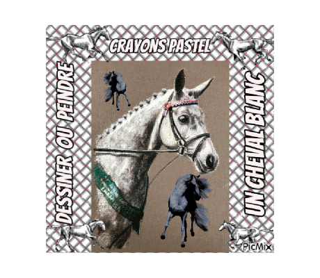Dessin et peinture - vidéo 3812 : Comment peindre ou dessiner un cheval blanc ? - crayons pastel.