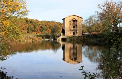 Reflets d'automne