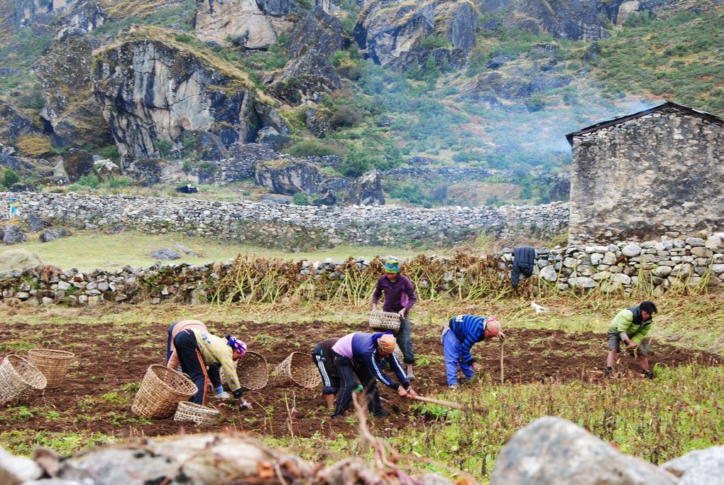 Acclimatation aux alentours de Namche Bazaar