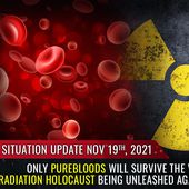 Only PUREBLOODS will survive the vaccine / radiation holocaust being unleashed against humanity... the spike protein in vaccines causes genetic DISINTEGRATION