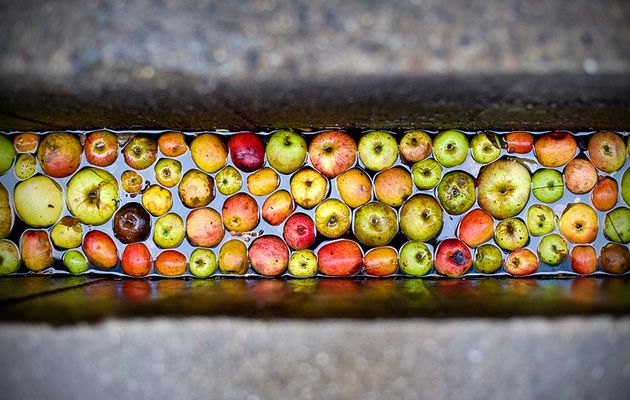 Et si vous vous lanciez sur la route du cidre breton ?