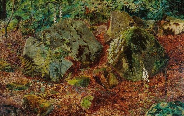 Le Tableau du Samedi : John Atkinson Grimshaw, Rochers moussus dans la forêt en Automne