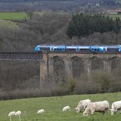 Railcoop au bord de la faillite : les coulisses d'un déraillement