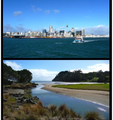 Auckland ... soon the rugby world cup