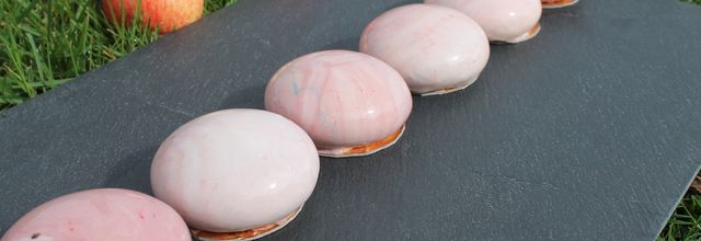 Entremets du moment Saveurs d'automne
