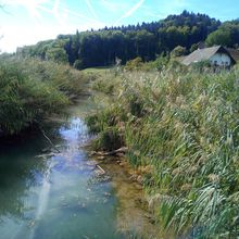 LAUPEN - AARBERG 22.09.2018