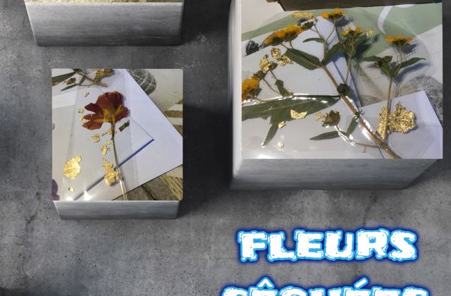 projet 52-Du côté de chez Ma' _fleurs séchées