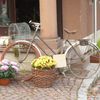 vélos fleuris