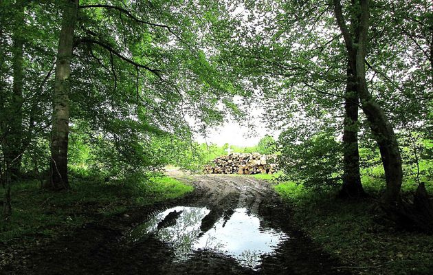 le Chemin de la Voie de l'Eau