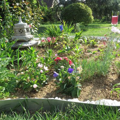 Jardin joli, jardin fleuri ! - Juin 2017 -