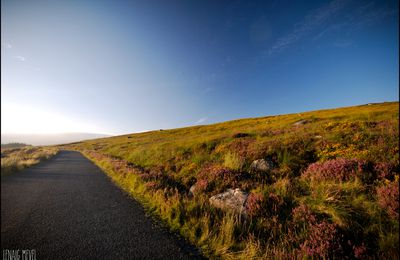 Les couleurs du Donegal