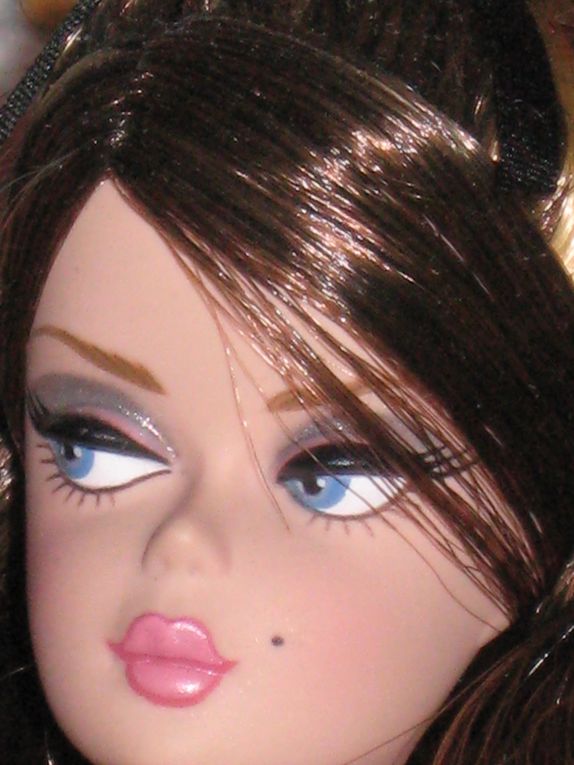 ...crée en 2006