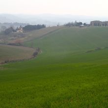 Via Francigena : Sienne - Buonconvento (11 mars 2015)