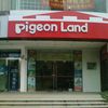Pigeon Land