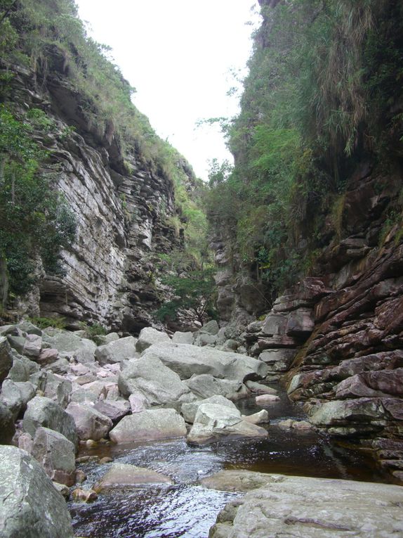 Dans l'intérieur de l'état de Bahia, une succession de plateaux... Et un trekking : la vallée do Pati