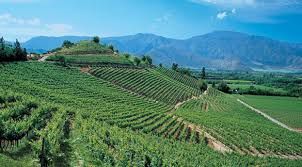 The wine region of Aconcagua in Chile