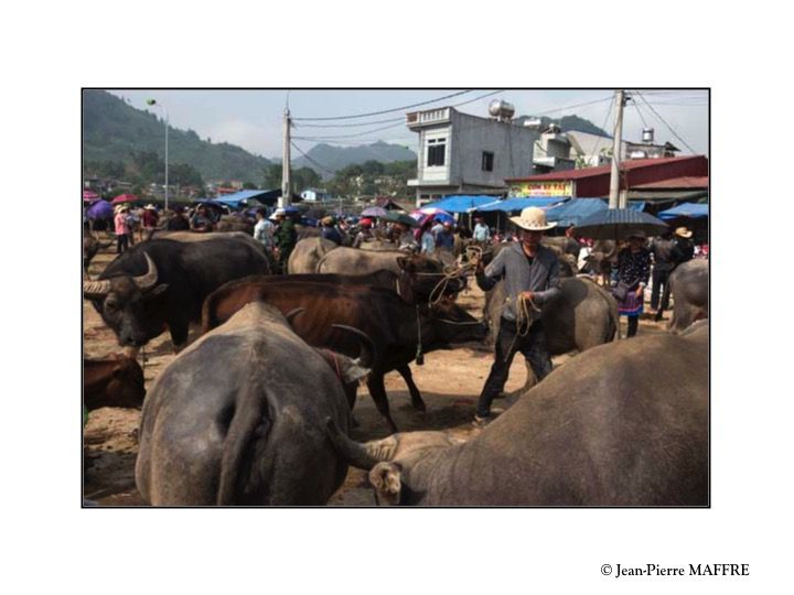 Tenu le Dimanche, le marché de Bac Ha est un rendez-vous attendu des minorités locales ainsi que de 14 ethnies qui peuplent les alentours.