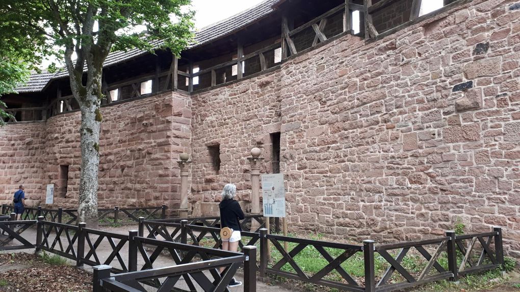 Visit Koenigsbourg castle