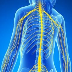 Fibromyalgie et syndrome de fatigue chronique : l'hypothèse de l'hypertension intracrânienne - Décembre 2018
