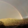 Folies du net : Double rainbow