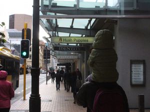 Petit coup de cœur pour Wellington, grand coup de cœur pour le Te Papa