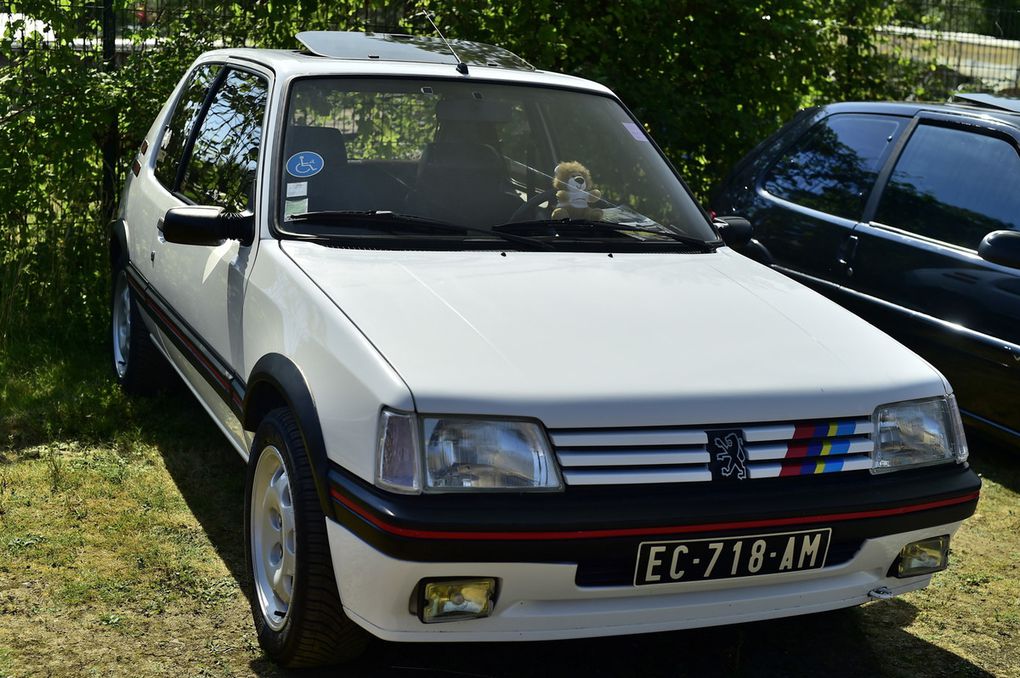 Rassemblement (PAPA35) , club Passion Auto Prestige et Ancienne d'ille et Vilaine de juillet 2019