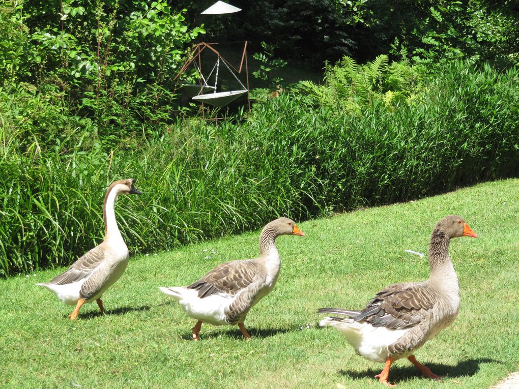 Album - Sortie-des-maternelles-au-Jardin-des-Olfacties