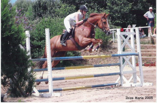 Concours de Saut d'Obstacles