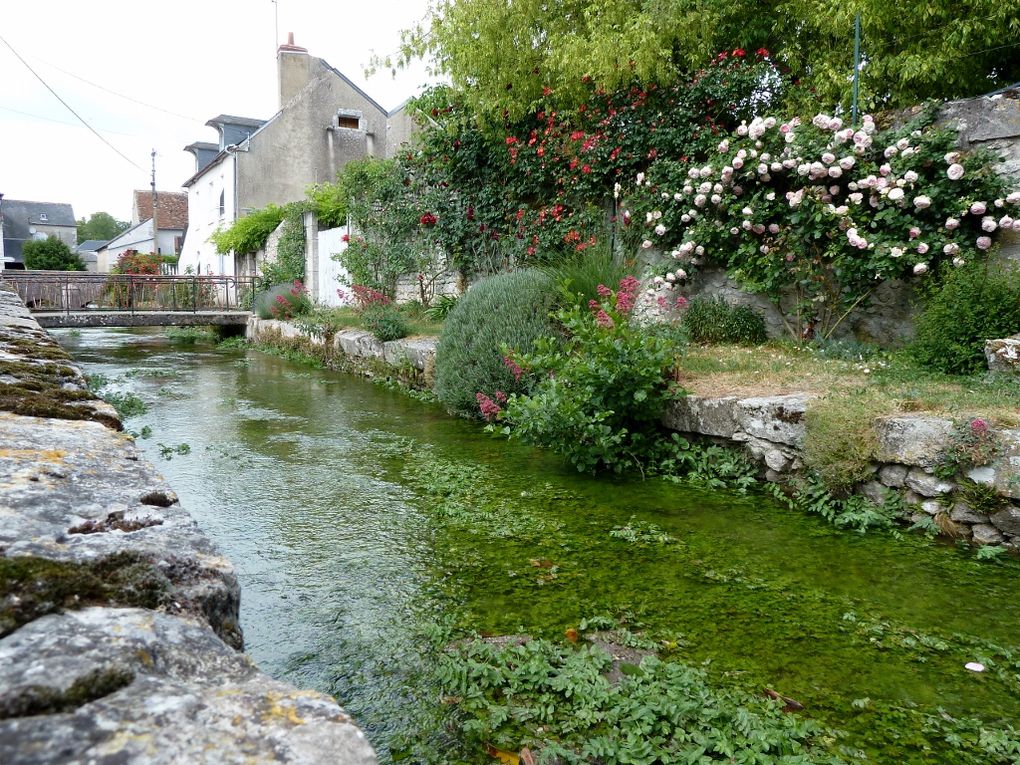 Suèvres est une ville de France, située dans le département Loir-et-Cher, de la région Centre.
Les habitants de Suèvres sont appelés les Sodobriens, Sodobriennes.
Les 1464 habitants de la commune vivent sur une superficie de 37 km² avec une de