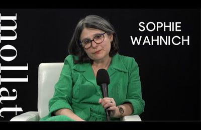 Sophie Wahnich - La Révolution des sentiments